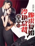 离婚后,冷艳总裁跪求复婚txt